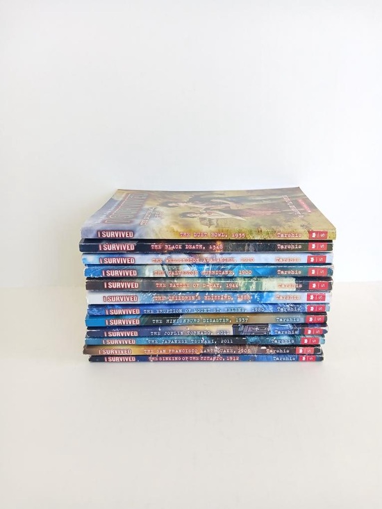 I survived Other - I survived books set of 12